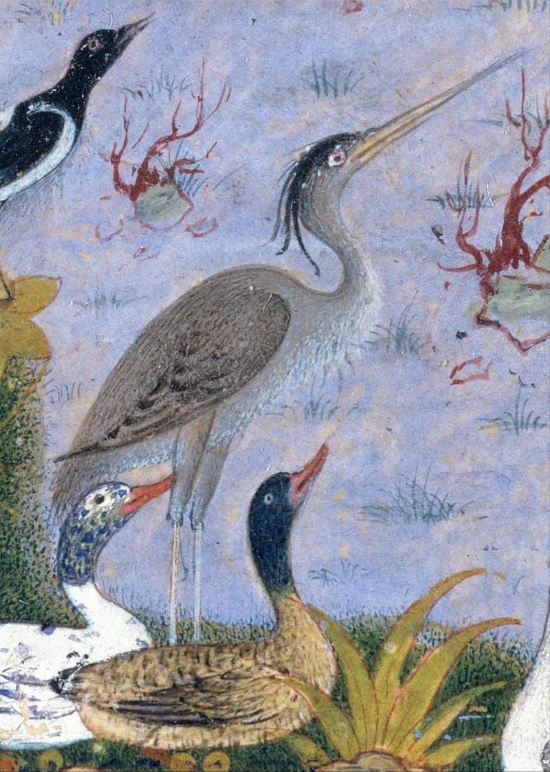 Zwolle